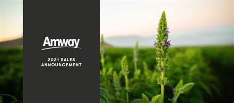 amway 9 income|Amway Announces 2021 Sales of $8.9 Billion USD .